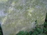 image of grave number 505004